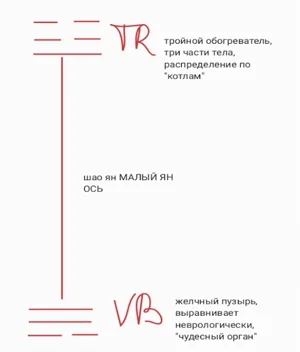 Slide 9