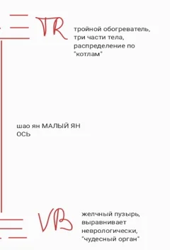 Slide 11